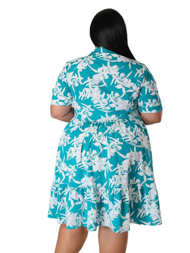 Women Floral Print A-Line Dress